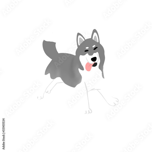Siberian husky dog illustration © khwanchai