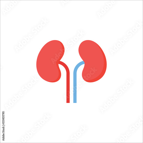 kidneys icon. flat icon