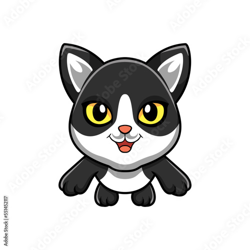 Cute black smoke cat cartoon flying