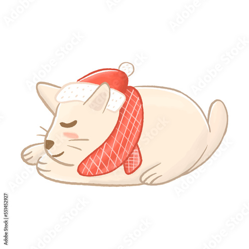 Cute Christmas cat