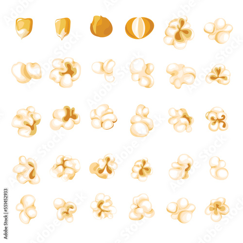 Popcorn kernel types and process of popping vector