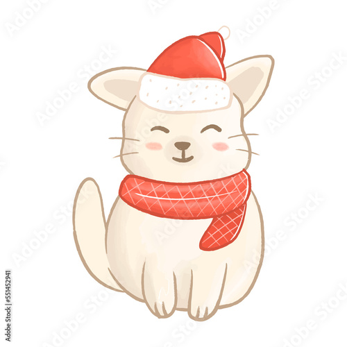Cute Christmas cat