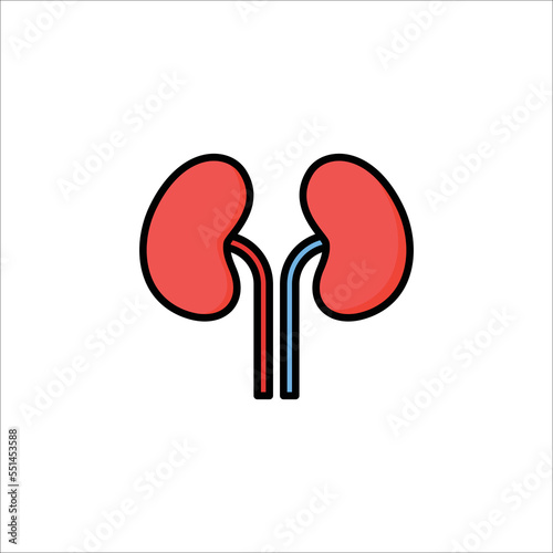 kidneys icon. filled icon