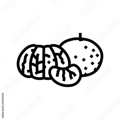 peeled mandarin peel line icon vector. peeled mandarin peel sign. isolated contour symbol black illustration