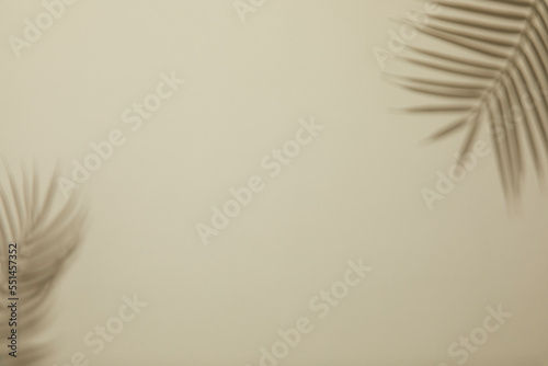 top view of beige background with subtle palm leaf and transparent glassware © gru pictures