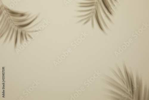 blurry and abstract of silhouette palm leaves shadow on beige wall. copy space and flat lay © gru pictures