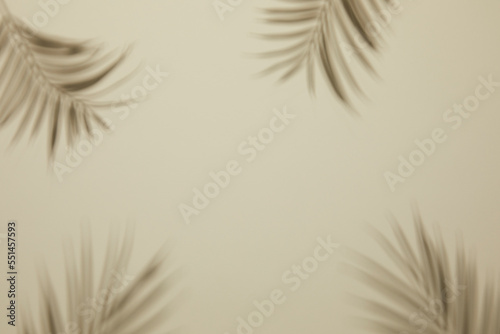 blurry and abstract of silhouette palm leaves shadow on beige wall. copy space and flat lay © gru pictures