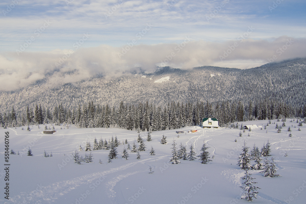 Small cabin surrounded by firs, mountains landscape photo. Beautiful nature scenery photography with Carpathian on background. Idyllic scene. High quality picture for wallpaper, travel blog, magazine