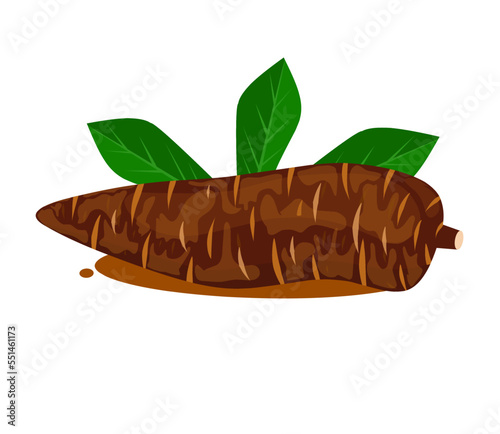 cassava fresh and leaf isolated on white background, raw cassava cut slice for tapioca flour industry or ethanol industry, pile yucca cassava tuber, raw manioc cassava in top view