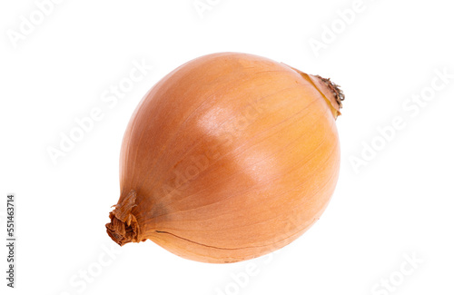 onion isolated
