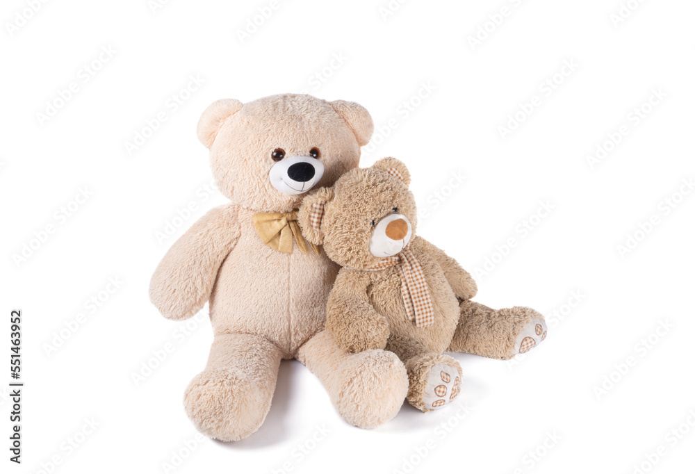 Fototapeta premium soft toy bear isolated