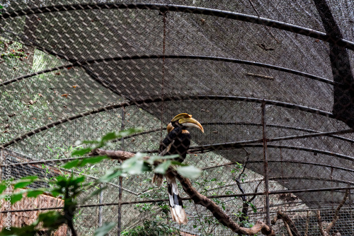 Hiking Trail In the Hangzhou Zoo. Beautiful nature photo