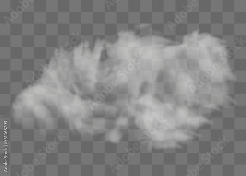 Vector set of realistic isolated cloud on the transparent background.