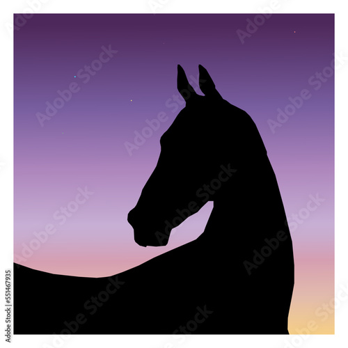 horse silhouette against sunset