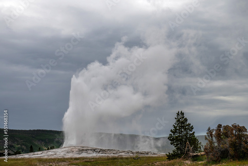 Old Faithfull geyser in Yellowstone