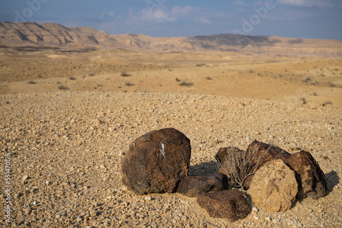 Metamorphic rocks like quartz sandstone and petrified wood in "HaMakhtesh HaGadol" in the Negev desert in Israel.
