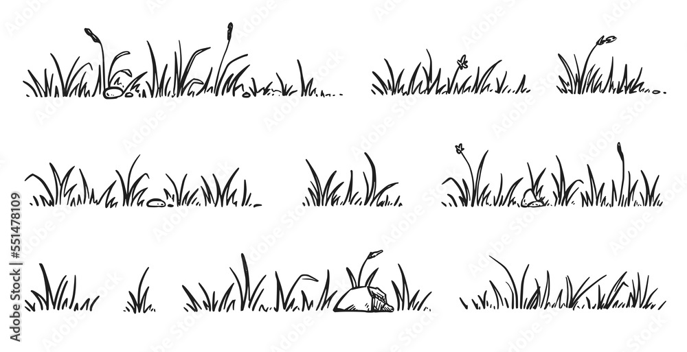 Grass doodle sketch style set. Hand drawn grass field outline scribble background. Sprout, flower, clover elements. Vector illustration. - obrazy, fototapety, plakaty 