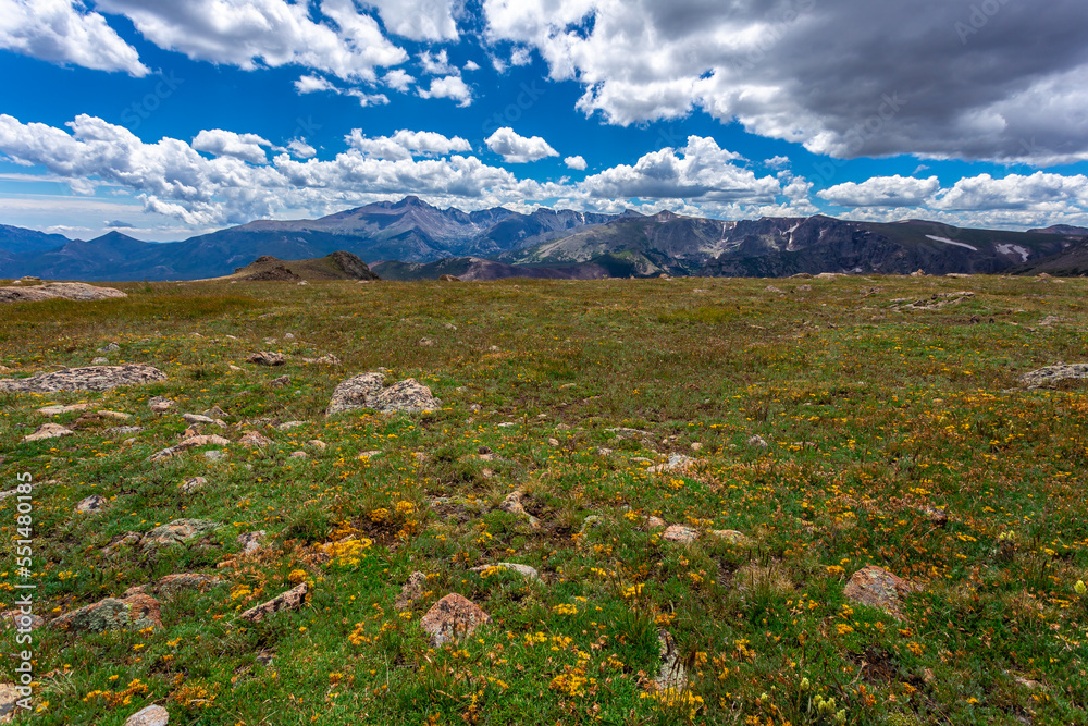 Meadows to Mountains on the Alpine Trail Ridge, Rocky Mountain National Park, Colorado