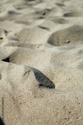 Sand on the beach in summer close-up