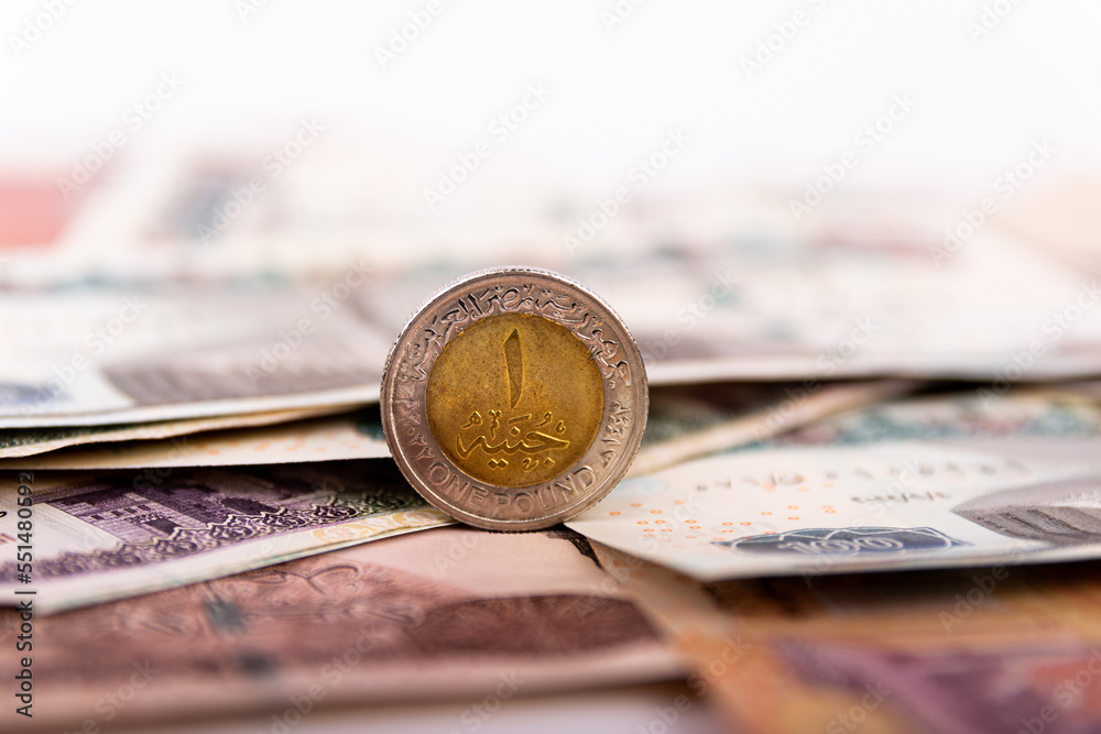 Bild auf Leinwand Egyptian pounds one currency closeup selective focus
bundle