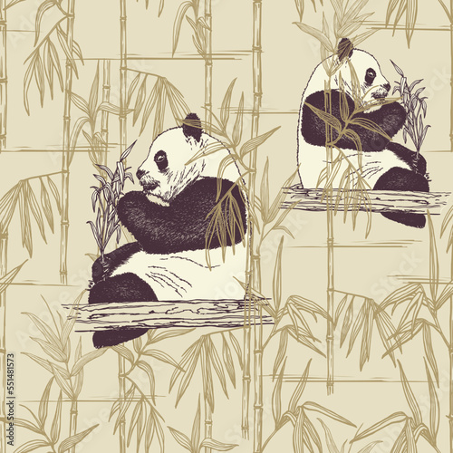 Cute pandas in bamboo thickets. Pen and ink  drawing. The Pandas obtain food by bamboo forest in their native habitats. Vector background.