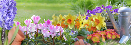 beautiful  spring flowers blooming in a garden with garden equipment in grass