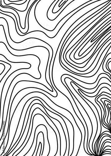 Black Graphic Lines Abstracts Topography Background 