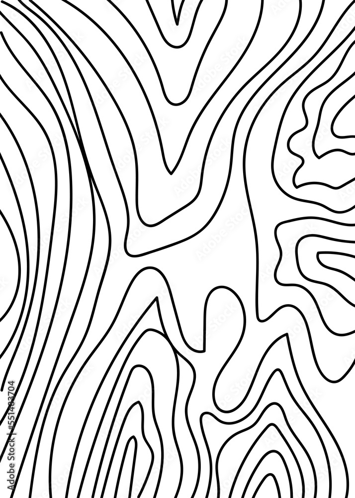 Obraz premium Black Graphic Lines Abstracts Topography Background 