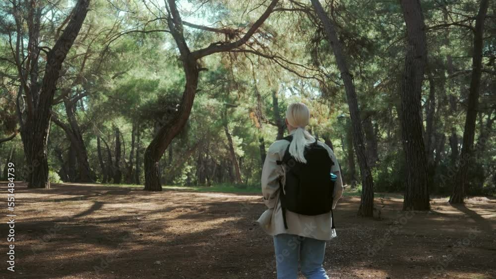 A girl with a briefcase calmly walks through the forest and admires the beauty of nature. High quality 4k footage A girl with a briefcase calmly walks through the forest and admires the beauty of nature. High quality 4k footage