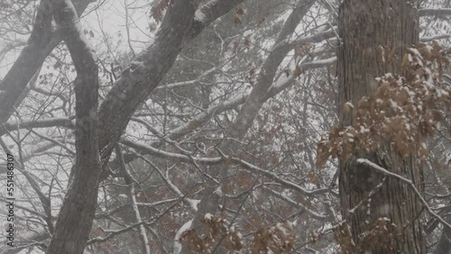 Snow storm passing over the shores of Lake Michigan in Muskegon. photo