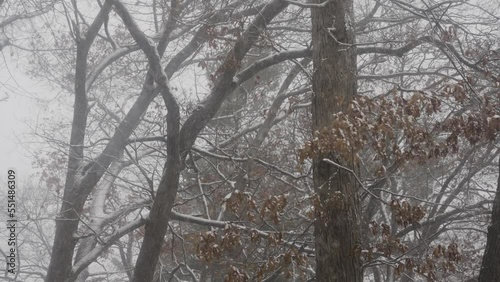 Heavy Snow falling after the first storm, speed ramping in and out of slow motion. photo