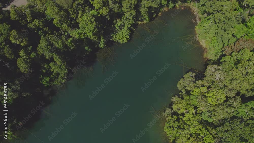 Tranquil Water And Lush Rainforest Of Lake Eacham In Atherton Tableland, Queensland, Australia - aerial top down Tranquil Water And Lush Rainforest Of Lake Eacham In Atherton Tableland, Queensland, Australia - aerial top down