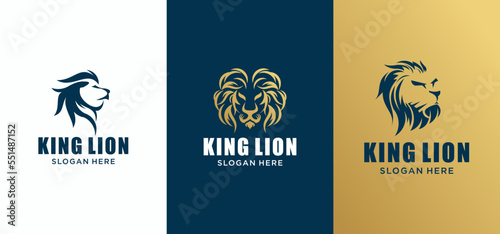 Gold elegant lion king animal logo, Lion logo vector illustration brand identity icon, Template.