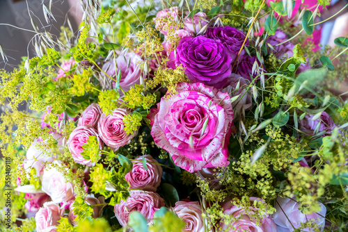 Rose buds of different pink shades