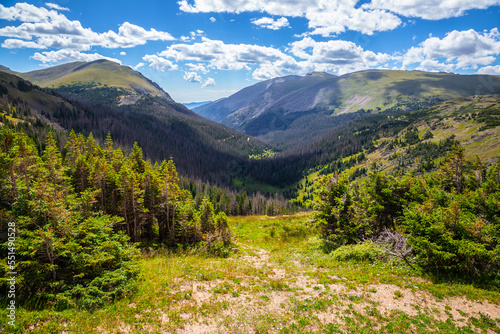 Brilliant Green Panoramic Views from the Old Fall River Road, Rocky Mountain National Park, Colorado