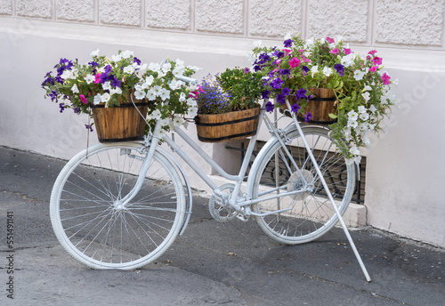 Vintage Bicycle with Flowers