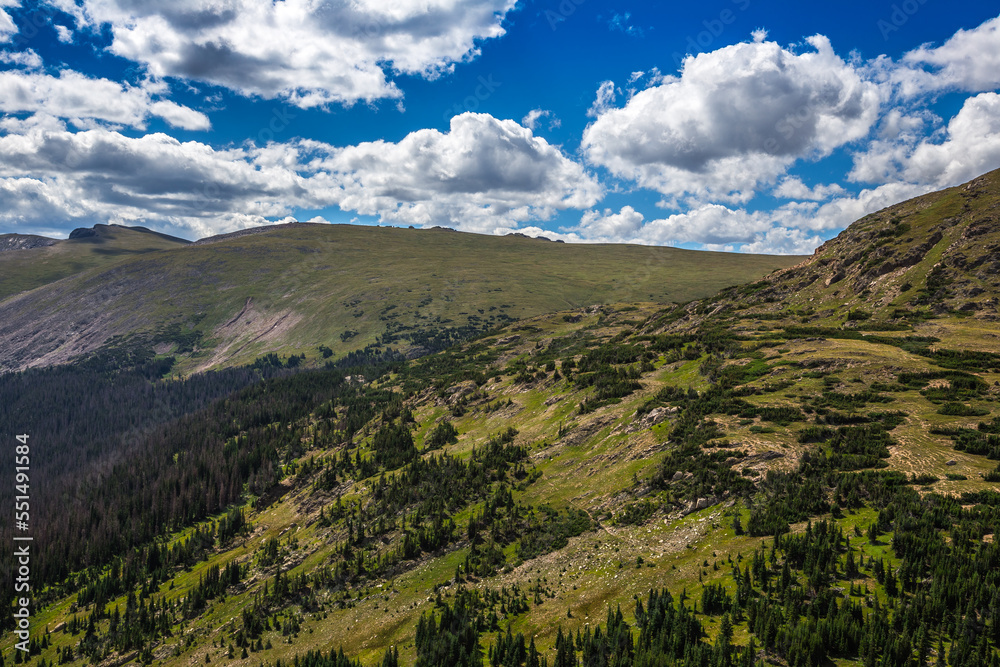 Fototapeta premium Brilliant Green Panoramic Views from the Old Fall River Road, Rocky Mountain National Park, Colorado
