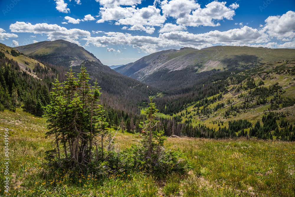 Brilliant Green Panoramic Views from the Old Fall River Road, Rocky Mountain National Park, Colorado