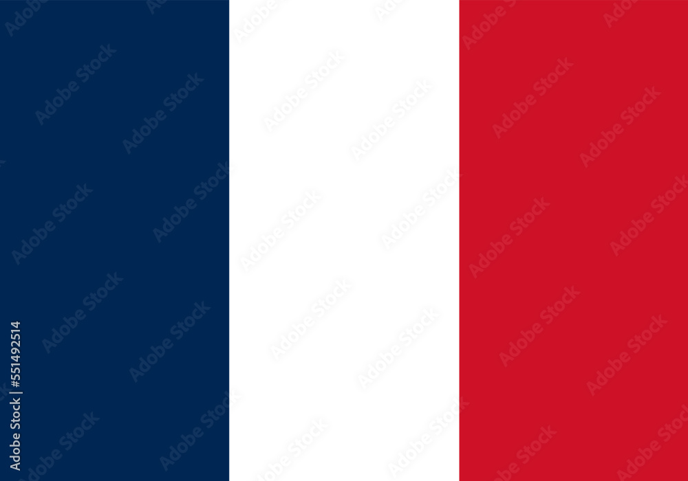 France flag standard shape and color - obrazy, fototapety, plakaty 