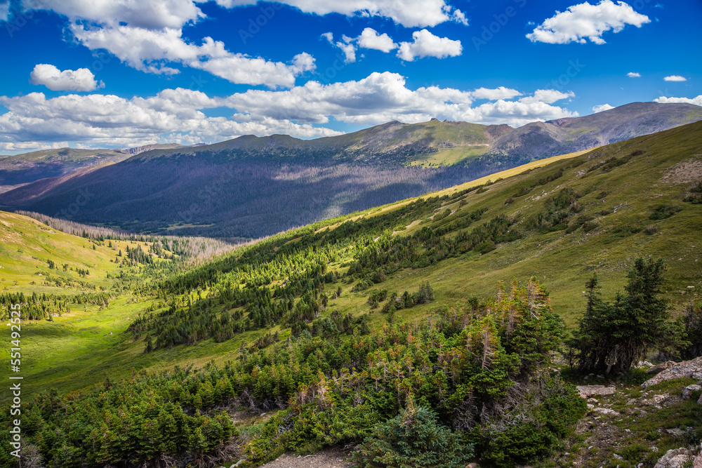 Brilliant Green Panoramic Views from the Old Fall River Road, Rocky Mountain National Park, Colorado