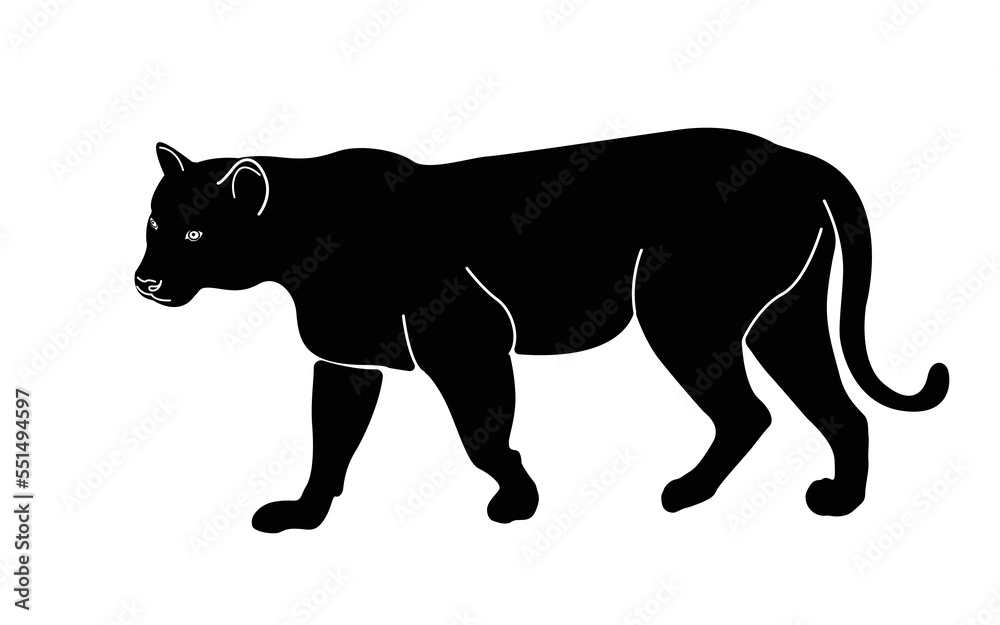 A black silhouette of a walking tiger. Isolated on white background Tiger logo design set. Symbol, vector