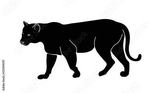A black silhouette of a walking tiger. Isolated on white background Tiger logo design set. Symbol, vector © SIRAPOB