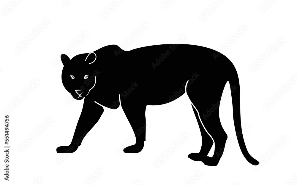 A black silhouette of a standing tiger. Isolated on white background Tiger logo design set. Symbol, vector