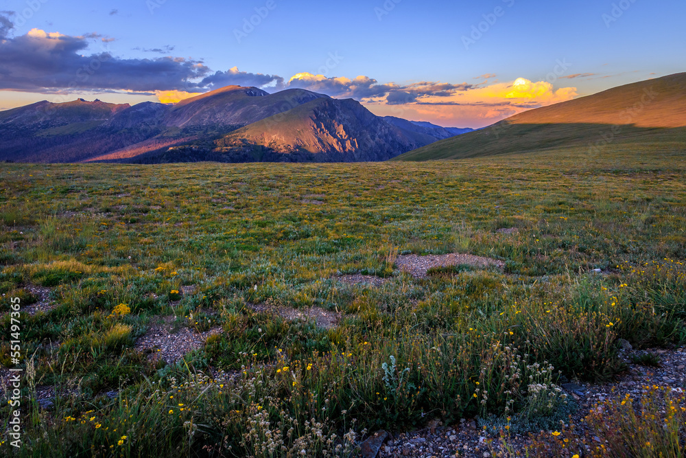 Mountain Meadow Sunset Views from the Trail Ridge Road, Rocky Mountain National Park, Colorado