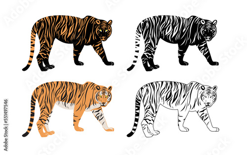 Set of realistic tigers in different poses. Animals. Big cats. Predatory mammals.
