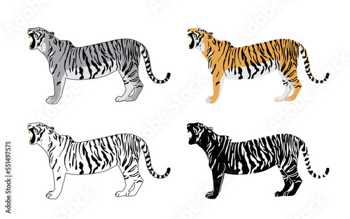 Set of realistic tigers in different poses. Animals. Big cats. Predatory mammals.