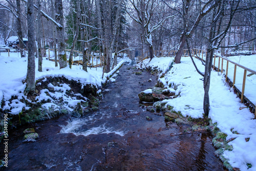 A small river flows through the forests of Latvia, snowy land, the first week of December. Dark evenings of winter.