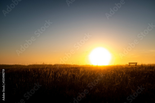 Sunrise with barley