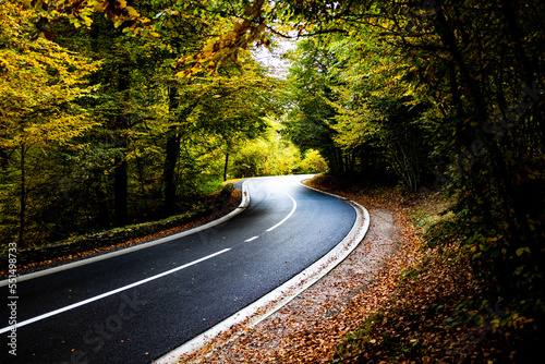 Winding road in autumn