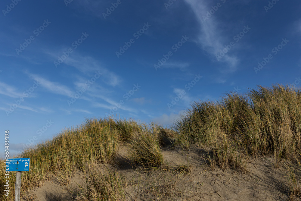 dunes at texel, netherlands, waddenzee, unesco world heritage, 